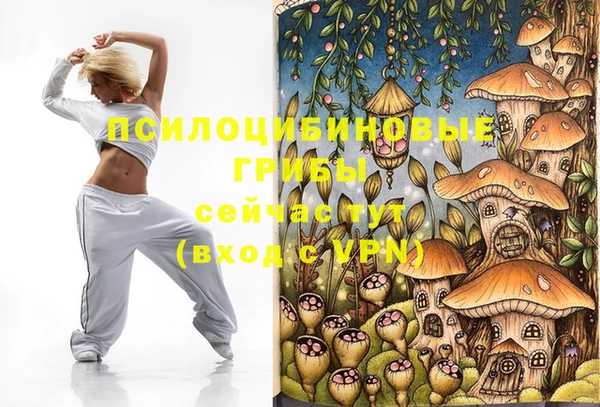 гидропоника Верея
