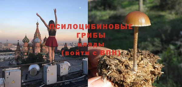 гидропоника Верея