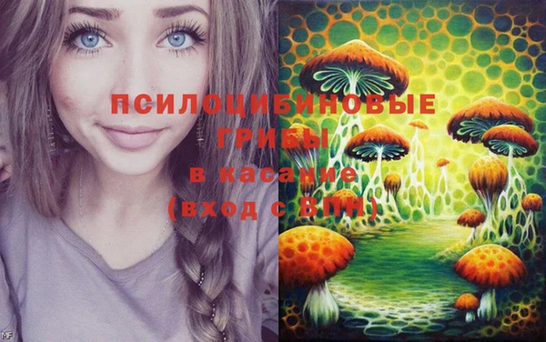 2c-b Верхний Тагил