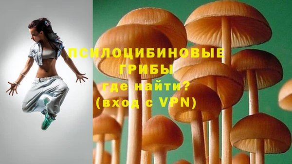 гидропоника Верея
